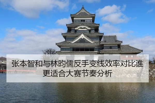 张本智和与林昀儒反手变线效率对比谁更适合大赛节奏分析