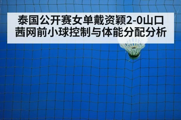 泰国公开赛女单戴资颖2-0山口茜网前小球控制与体能分配分析
