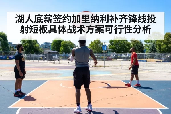 湖人底薪签约加里纳利补齐锋线投射短板具体战术方案可行性分析